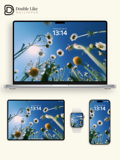 Sunny Blue Sky White Daisy Flower Field Low Angle Aesthetic Wallpaper Pack [#JJ1284]