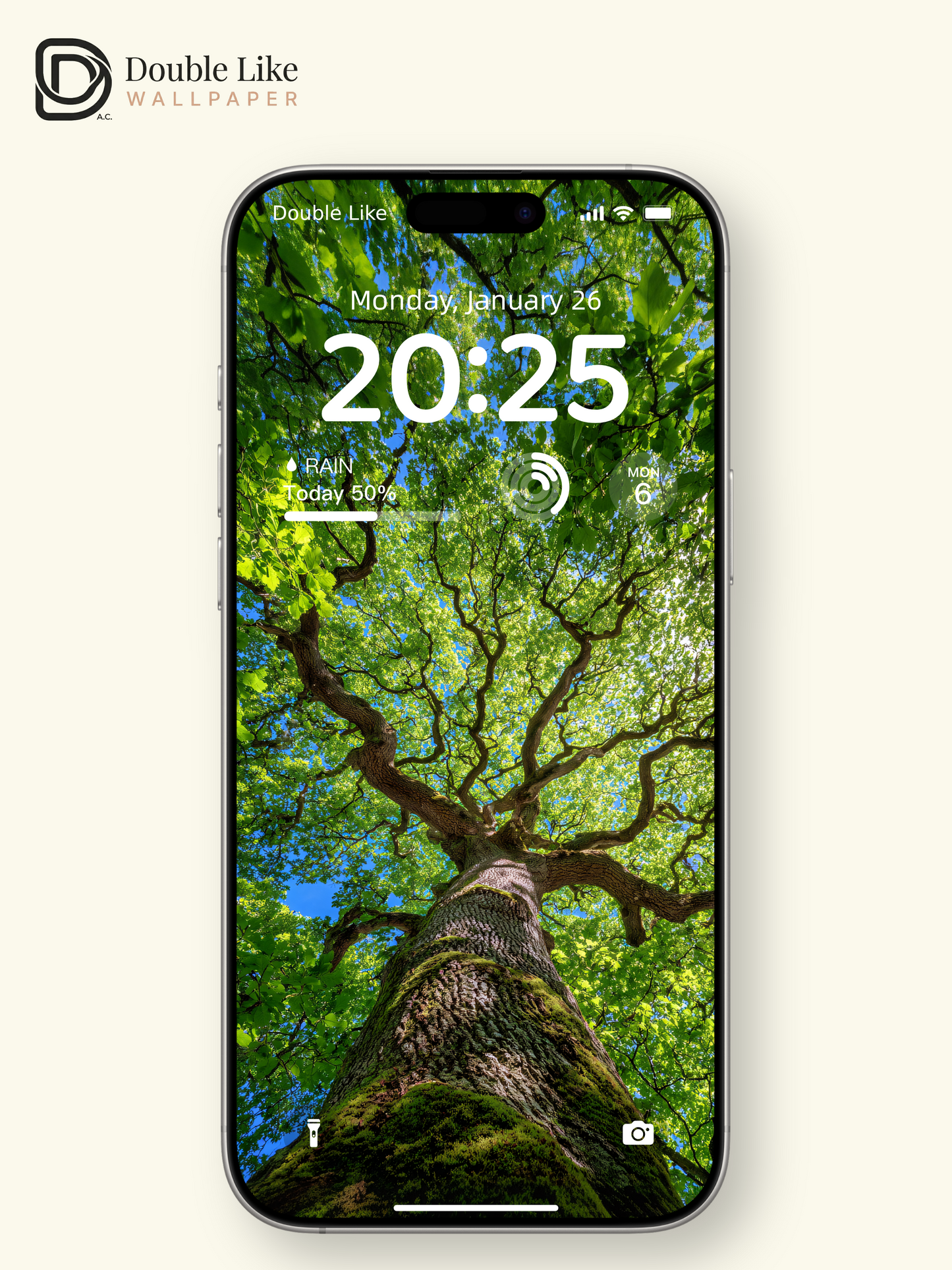 Vibrant Sunlit Forest Tree Canopy Photography Wallpaper Pack [#JJ1210]