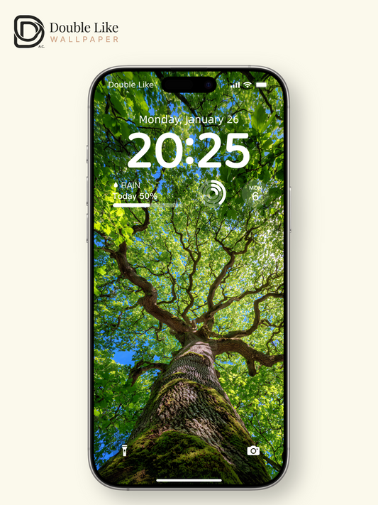 Vibrant Sunlit Forest Tree Canopy Photography Wallpaper Pack [#JJ1210]