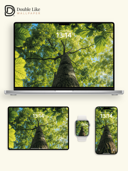Green Forest Canopy Tree Looking Up Landscape Wallpaper Pack [#ZJY328]