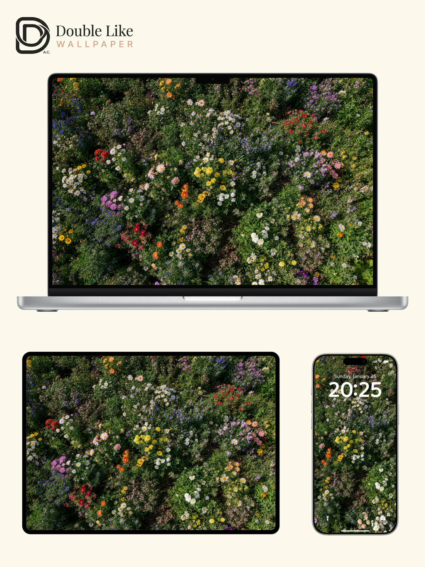 Colorful Wild Daisy Flower Field Healing Landscape Wallpaper Pack [#LFHL30319]