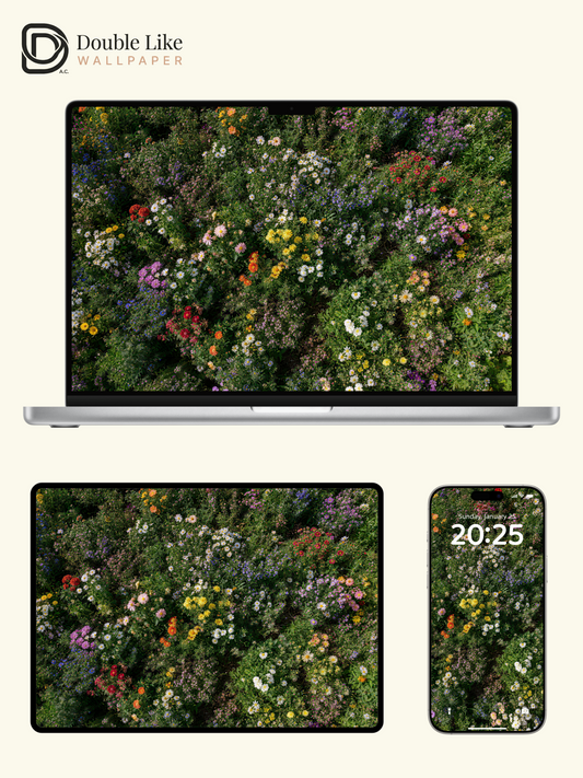 Colorful Wild Daisy Flower Field Healing Landscape Wallpaper Pack [#LFHL30319]