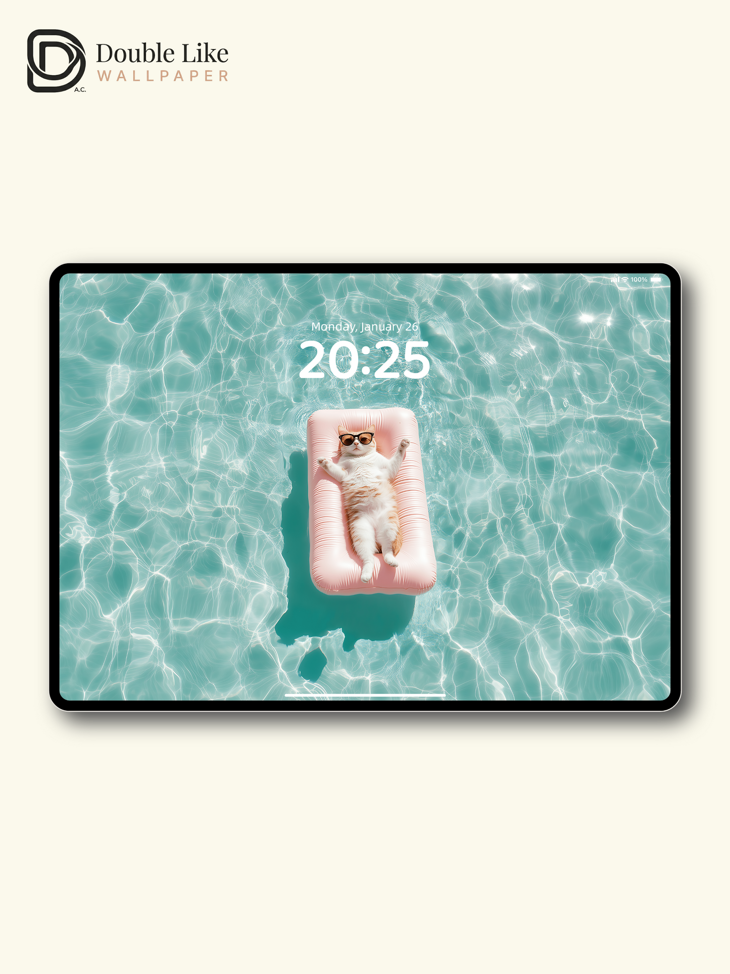 Cute Cat Floating on Pool Ring Summer Aesthetic Wallpaper Pack [#ZJY546]