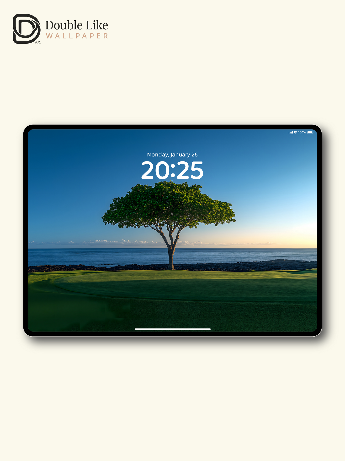 Minimalist Lonely Tree Blue Ocean Calm Nature Lock Screen Wallpaper Pack [#ZJYX0457]