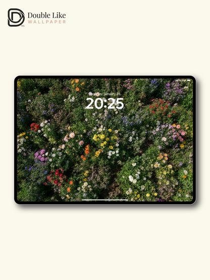 Colorful Wild Daisy Flower Field Healing Landscape Wallpaper Pack [#LFHL30319]
