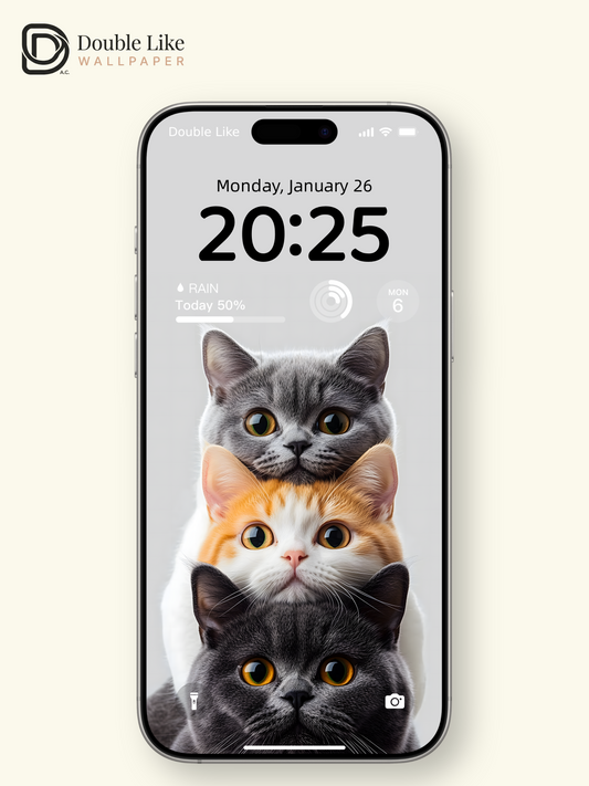 Stacked Kitties Therapy Pack | Cute Triple Cat Dynamic Wallpaper Bundle [#ZMY063]