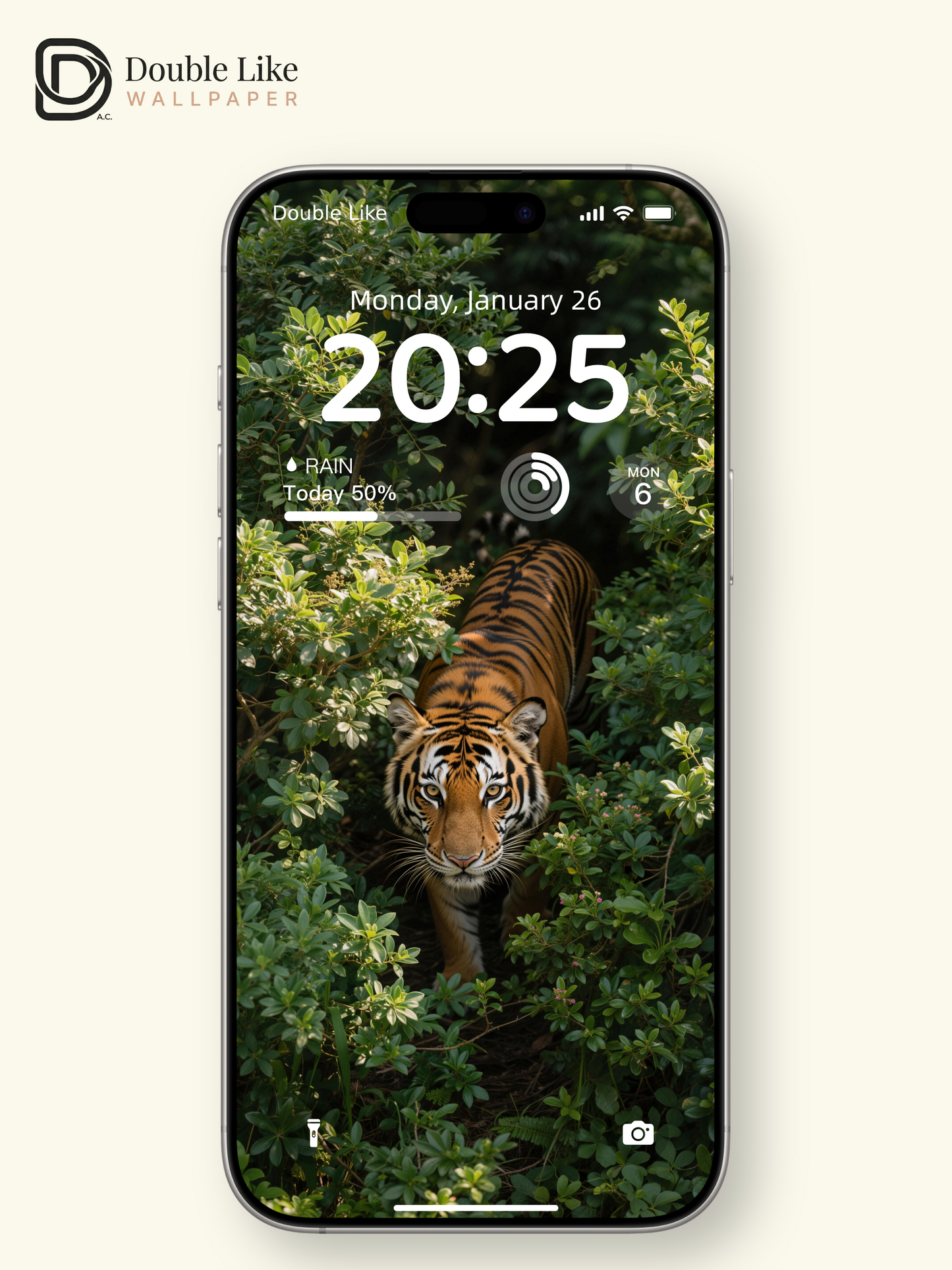 Wild Tiger Jungle Aesthetic Scenic Wallpaper Pack [#LFHL30302]