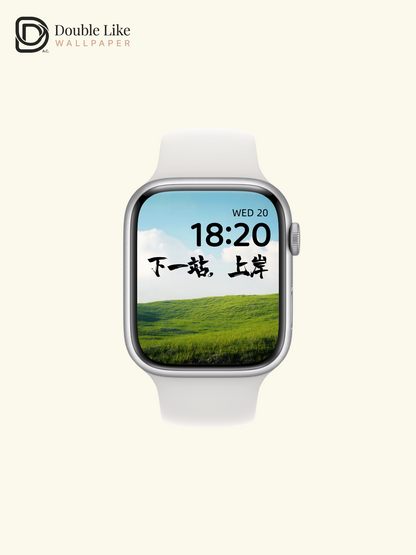 Next Stop Success Chinese Calligraphy Meadow Aesthetic Wallpaper Pack [#ZMY070]
