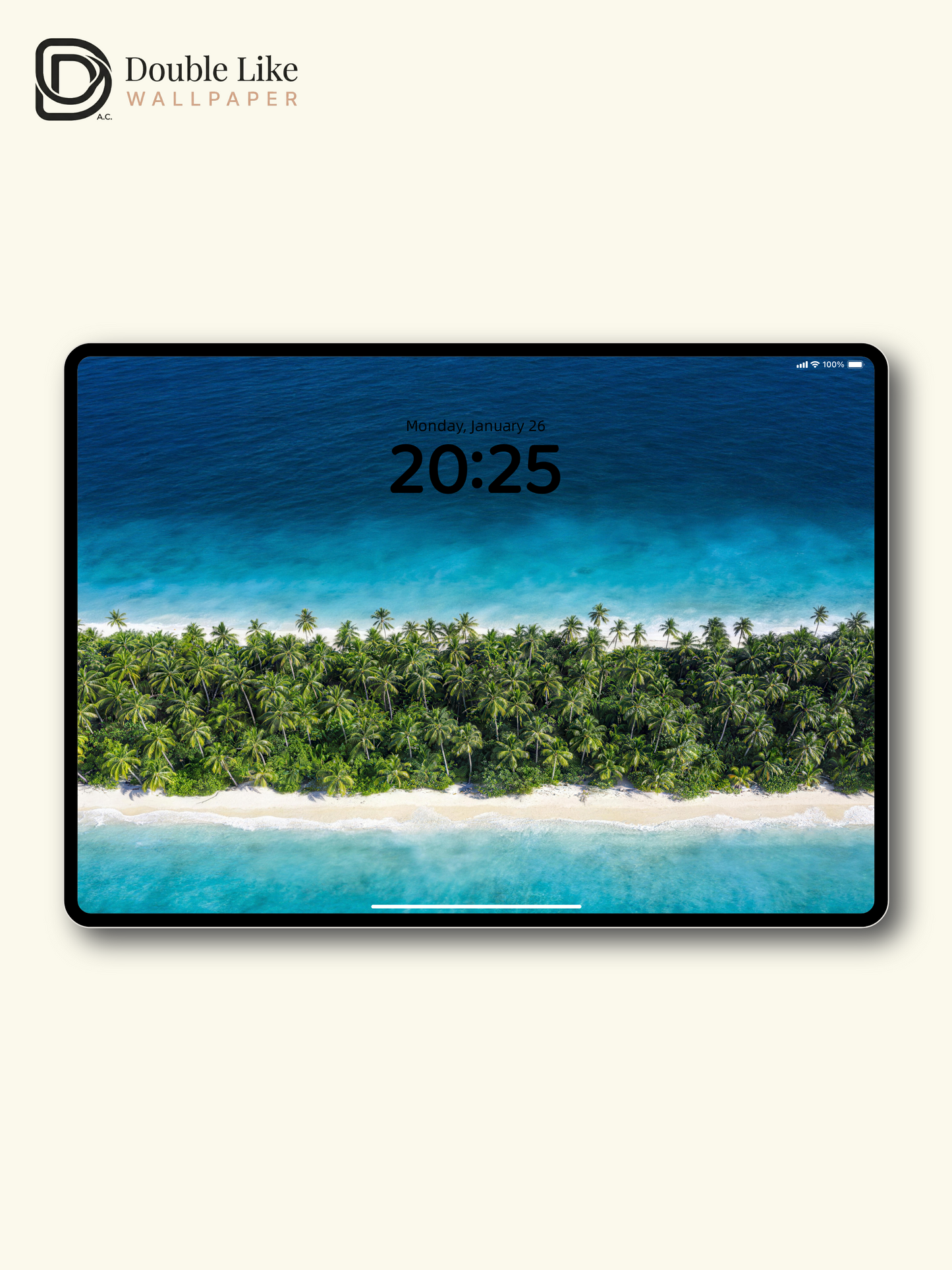 Turquoise Ocean Coconut Island Healing Landscape Wallpaper Pack [#LFHL30502]