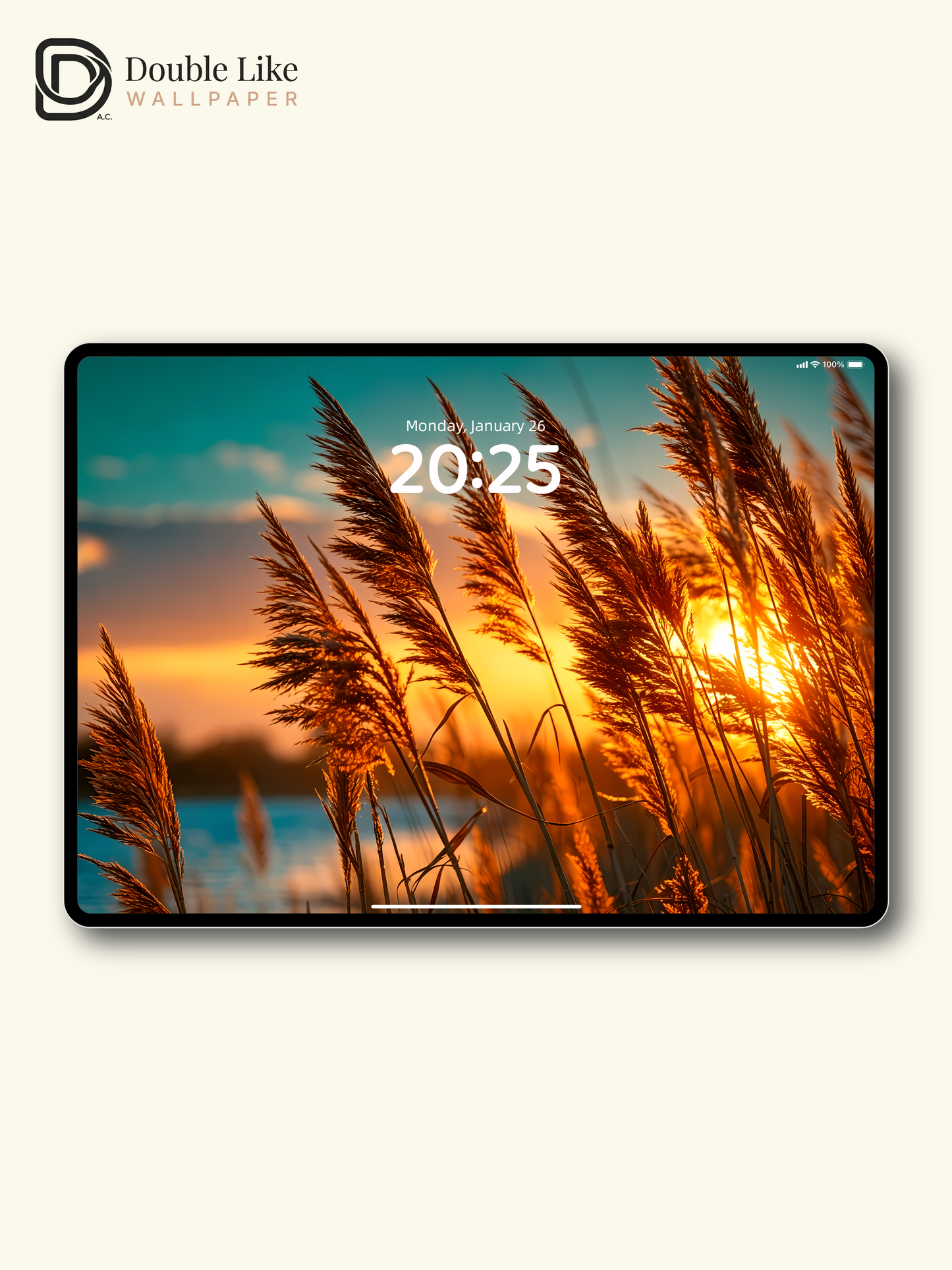 Aesthetic Reed Grass Golden Sunset Lake Landscape Digital Art Wallpaper Pack [#LFHL1027]