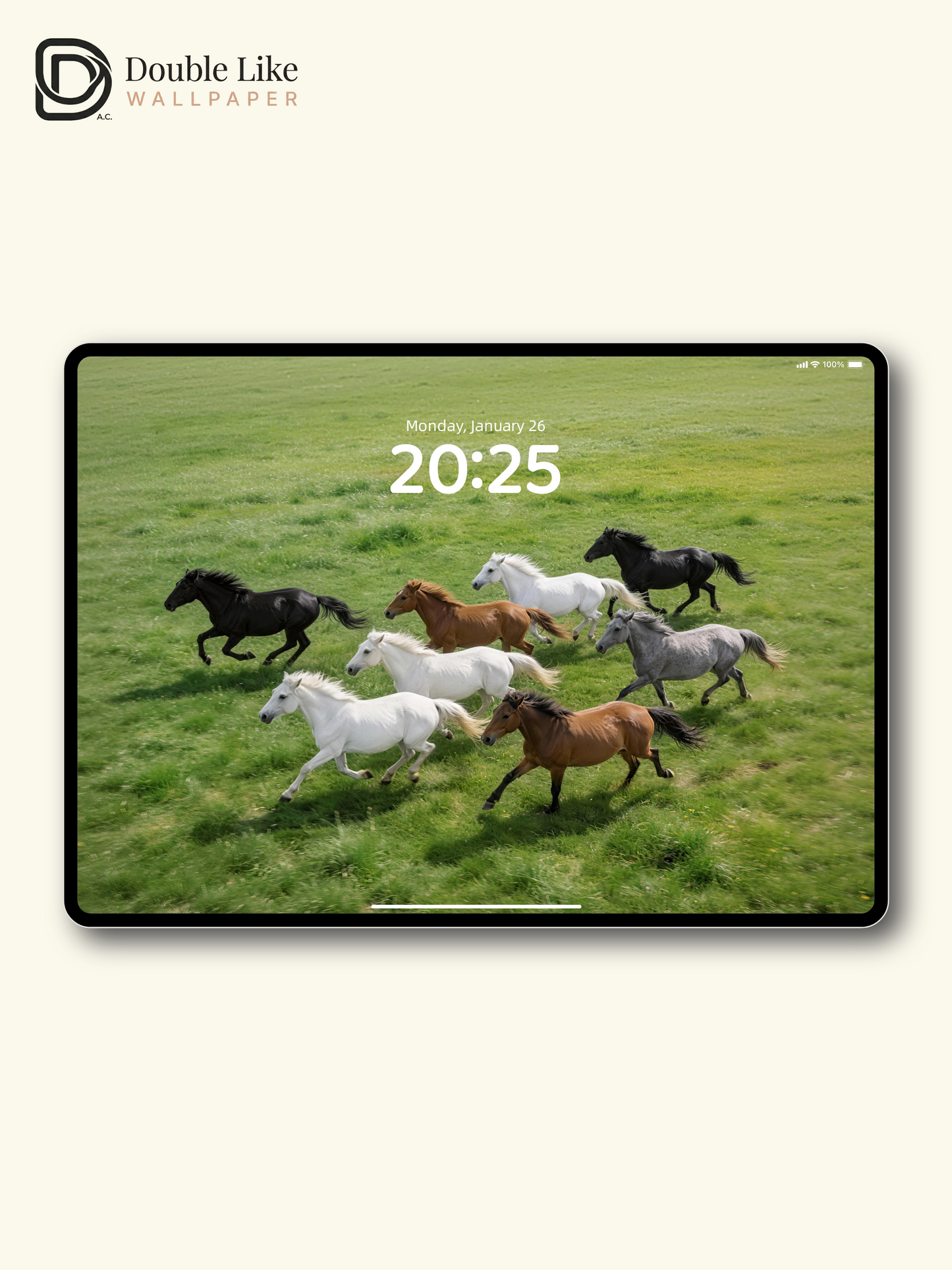 Galloping Herd Horses Inspirational Grassland Wallpaper Pack [#LFHL30123]