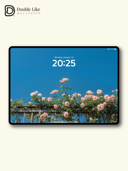 Pink Rose Fence Aesthetic Sky Wallpaper Pack for All Devices [#LFHL30607]