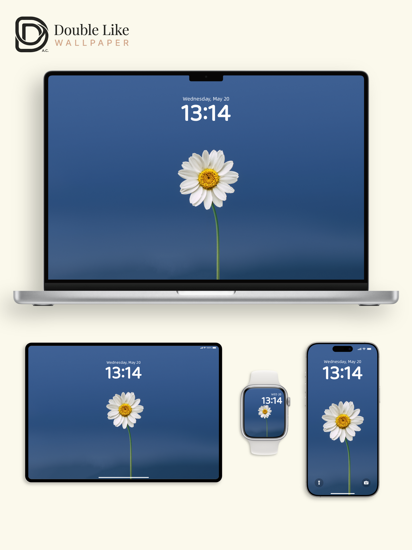 Minimal Daisy On Blue Calming Full Wallpaper Set [#ZMY457]