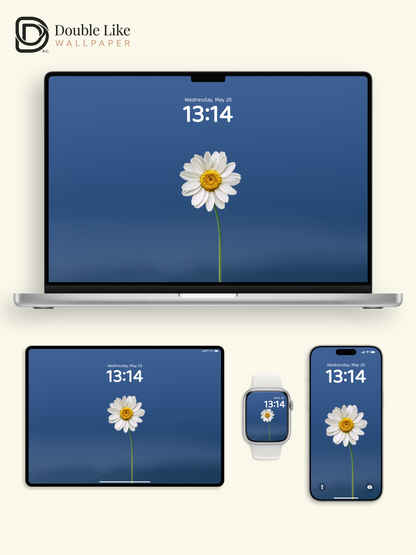 Minimal Daisy On Blue Calming Full Wallpaper Set [#ZMY457]