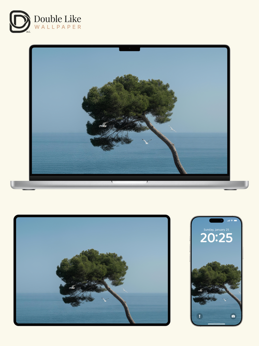 Healing Seascape Wallpaper Pack With Lone Pine Tree & Seagulls Over Blue Ocean [#LFHL30510]