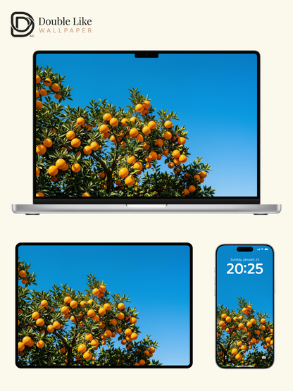 Vibrant Orange Tree Under Blue Sky Nature Aesthetic Wallpaper Pack [#LFHL30622]