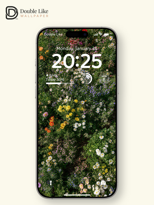 Colorful Wild Daisy Flower Field Healing Landscape Wallpaper Pack [#LFHL30319]