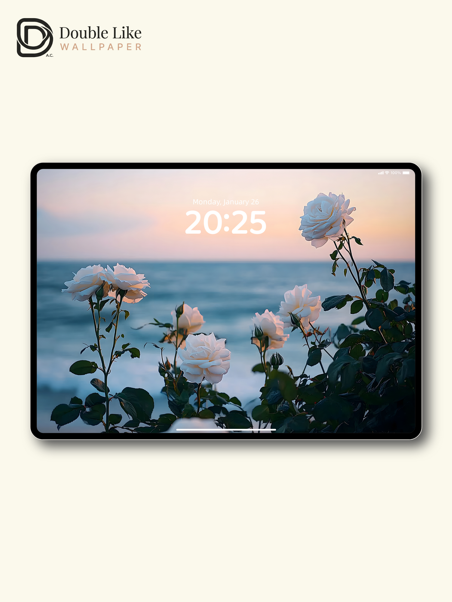 Romantic White Roses Pastel Ocean Sunset Lock Screen Wallpaper Pack [#ZJYX0441]