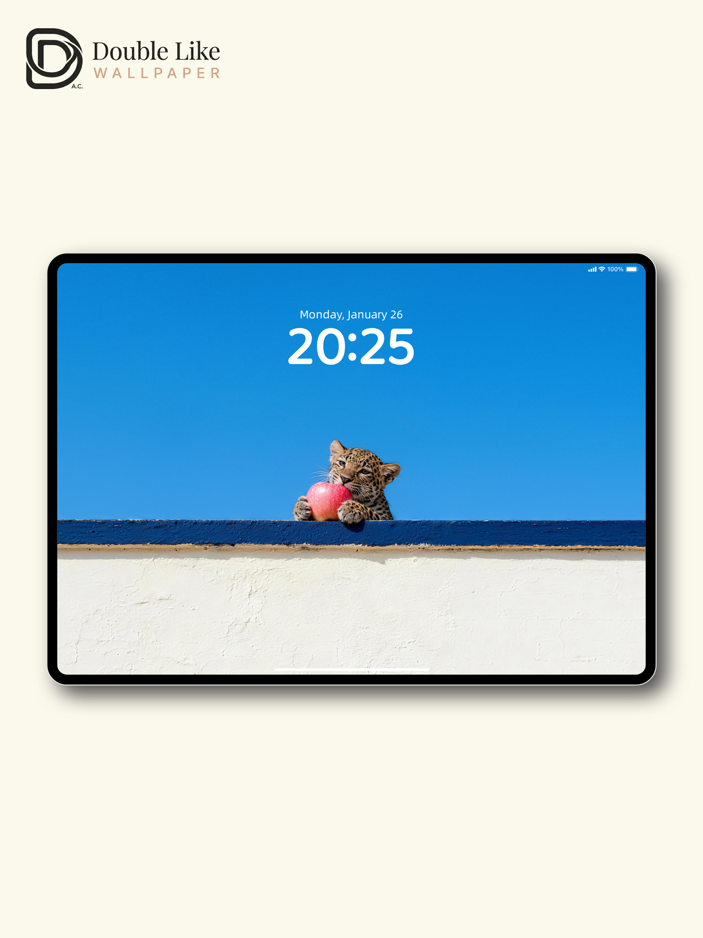 Cute Baby Leopard With Apple Healing HD Wallpaper Pack [#LFHL30401]