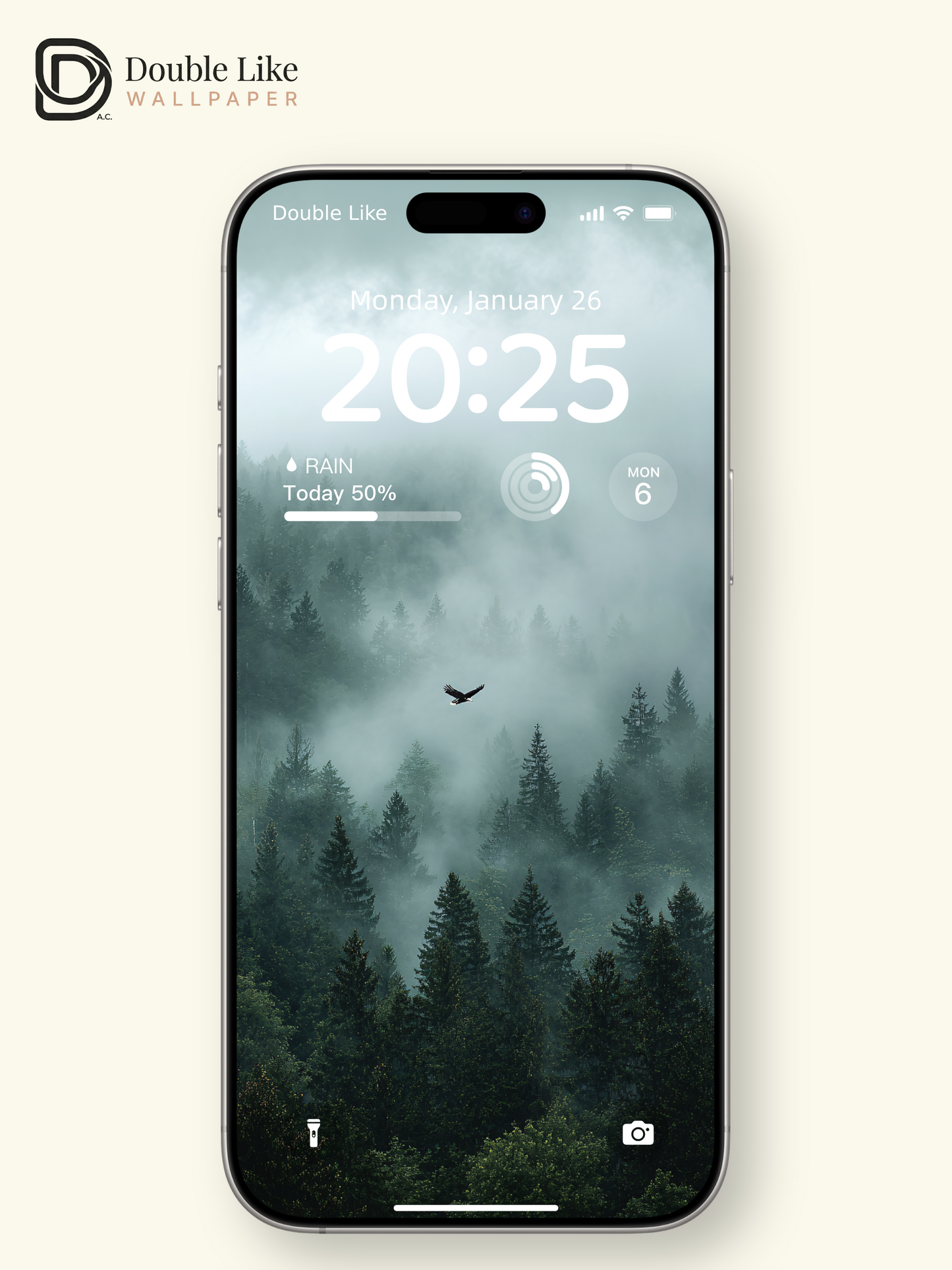 Mystic Foggy Forest and Soaring Eagle Photography Wallpaper Pack [#JJ1206]