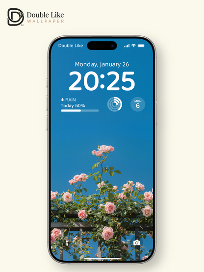 Pink Rose Fence Aesthetic Sky Wallpaper Pack for All Devices [#LFHL30607]