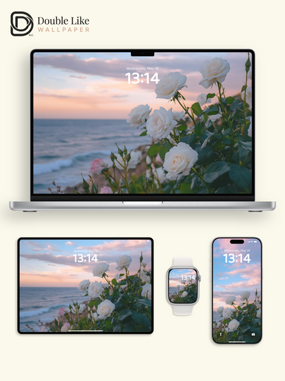 Romantic White Roses Pastel Sunset Ocean Lock Screen Wallpaper Pack [#ZJYX0430]