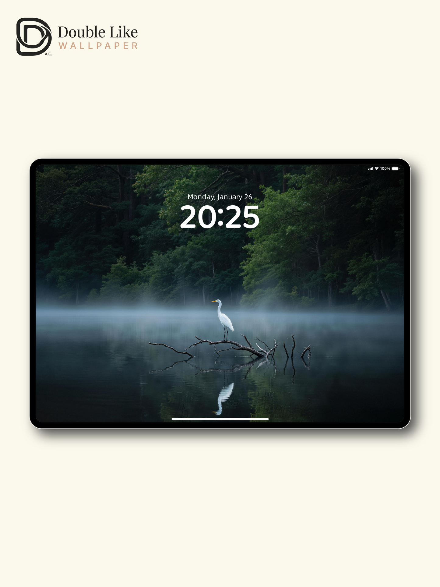 Misty Lake Lonely Egret Scenery Wallpaper Pack [#LFHL30321]