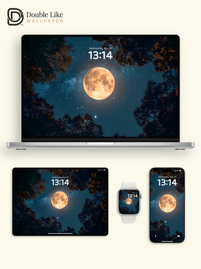 Moonlit Forest Starry Sky Dreamy Nature Wallpaper [#ZJYX0274]