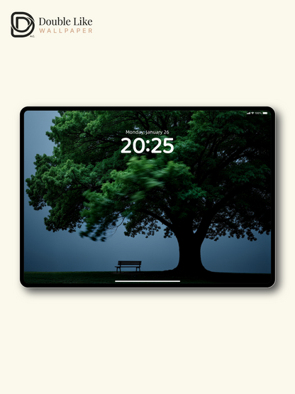Lonely Tree Empty Bench Solitude Scenic Wallpaper Pack [#LFHL30303]