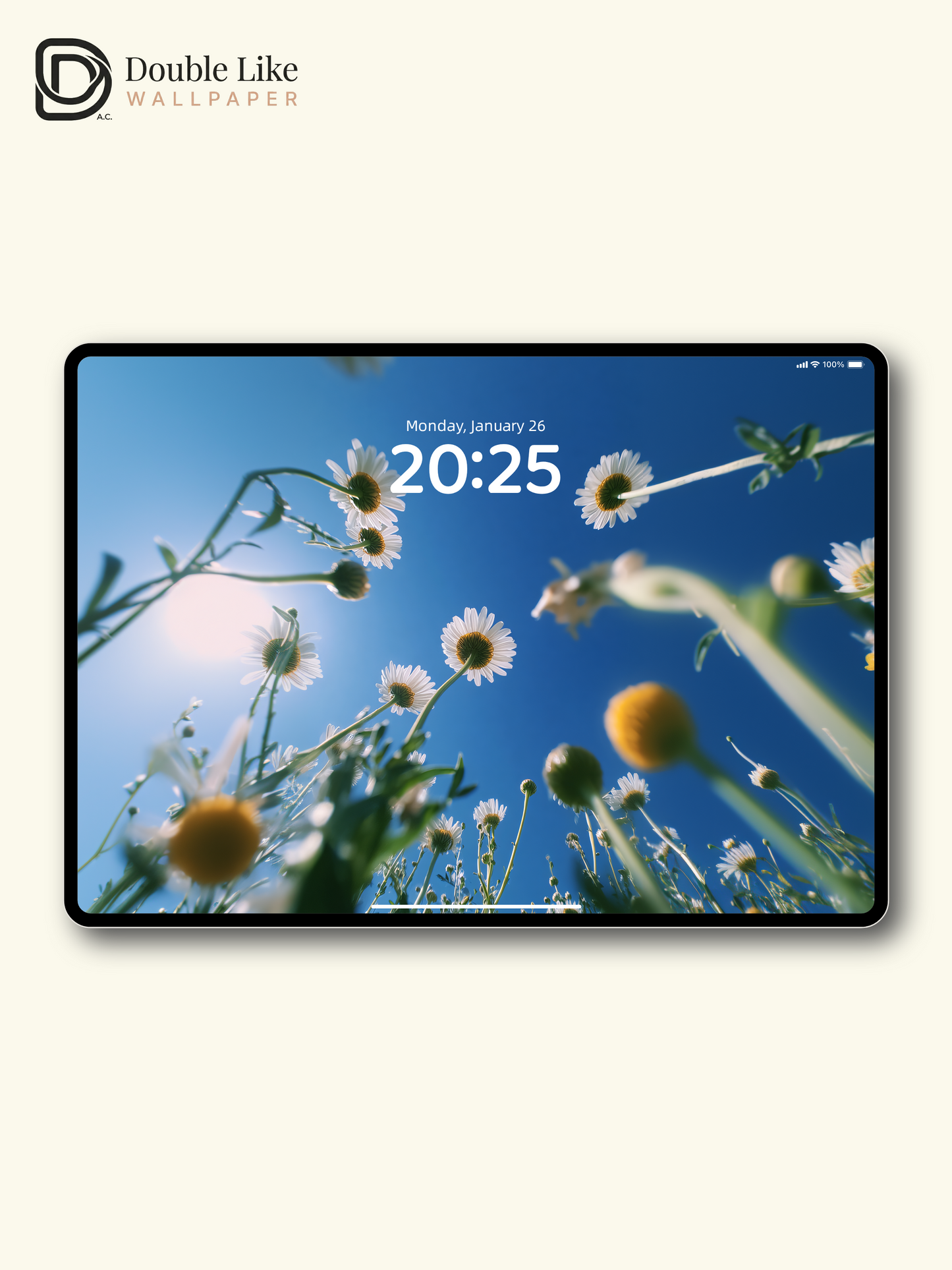 Sunny Blue Sky White Daisy Flower Field Low Angle Aesthetic Wallpaper Pack [#JJ1284]