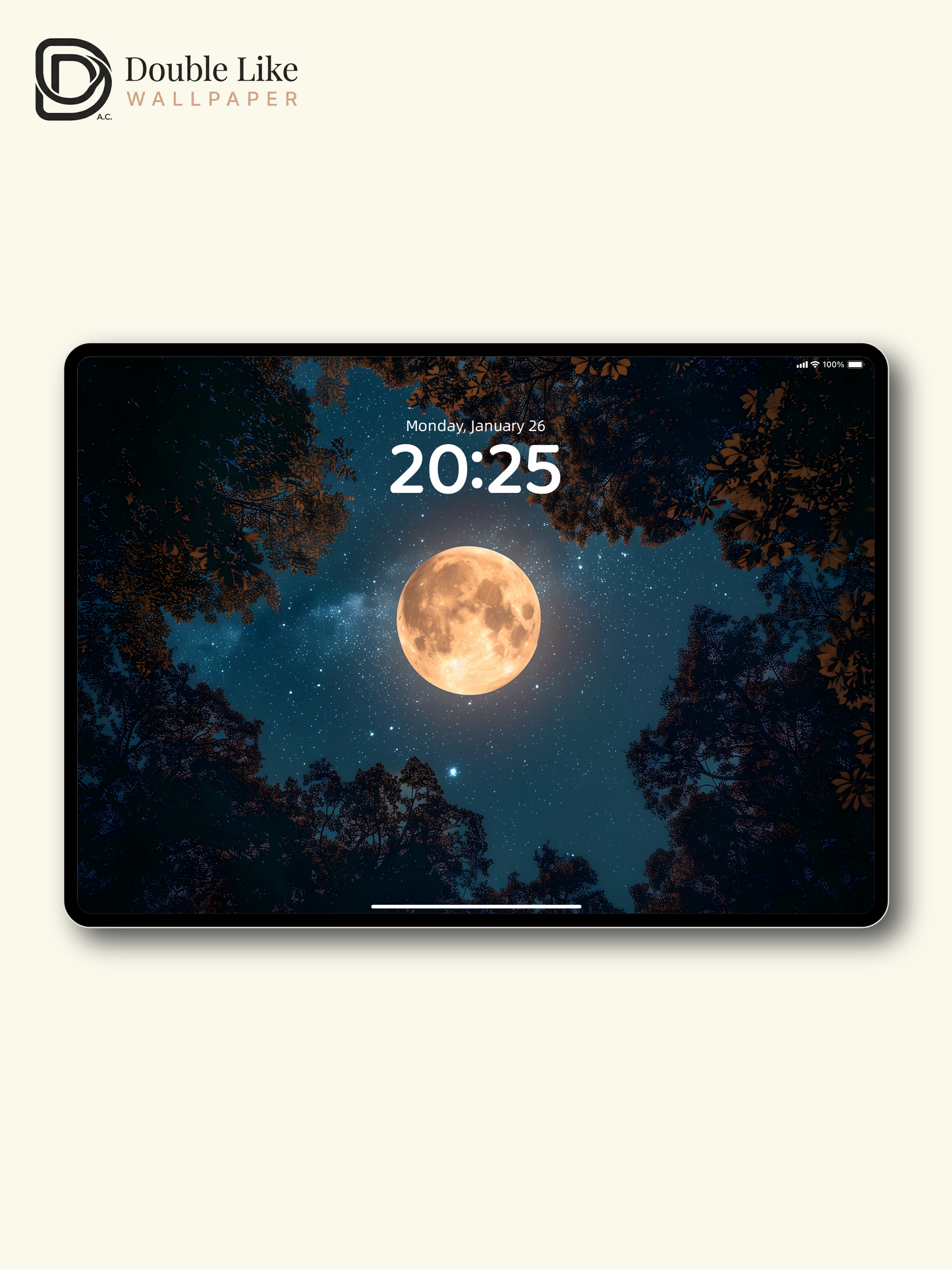 Moonlit Forest Starry Sky Dreamy Nature Wallpaper [#ZJYX0274]