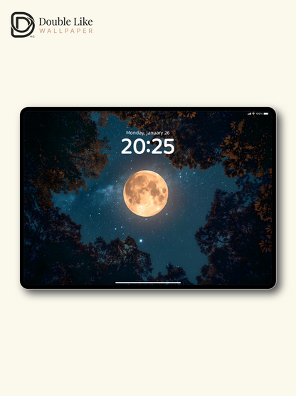 Moonlit Forest Starry Sky Dreamy Nature Wallpaper [#ZJYX0274]