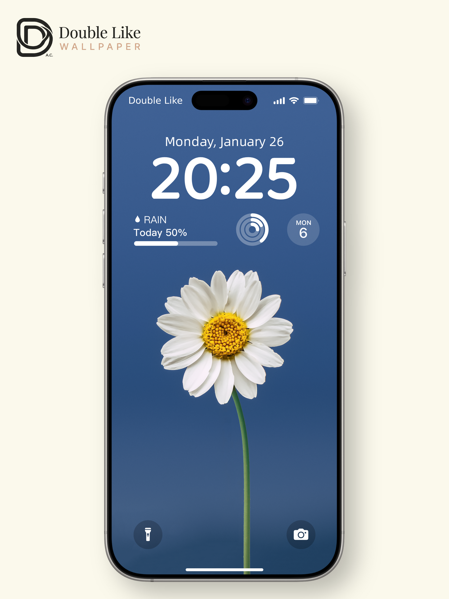 Minimal Daisy On Blue Calming Full Wallpaper Set [#ZMY457]