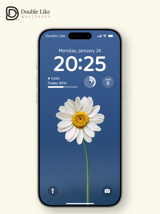 Minimal Daisy On Blue Calming Full Wallpaper Set [#ZMY457]