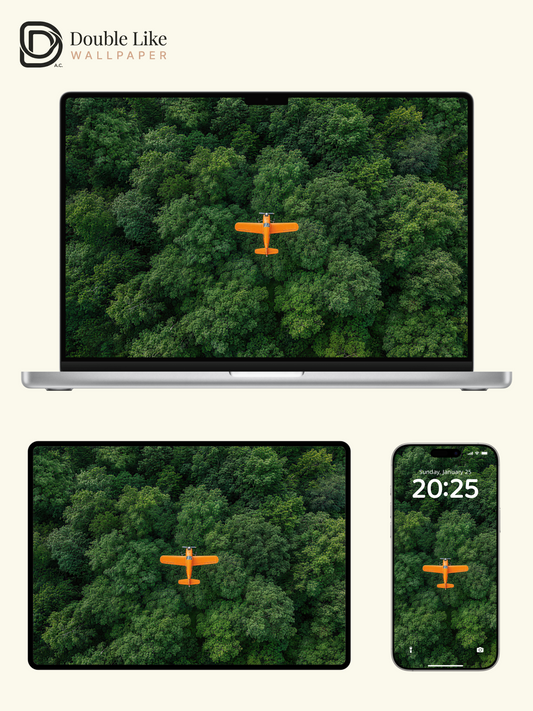 Jungle Orange Plane Inspirational Aerial Scenery Wallpaper Pack [#LFHL30313]