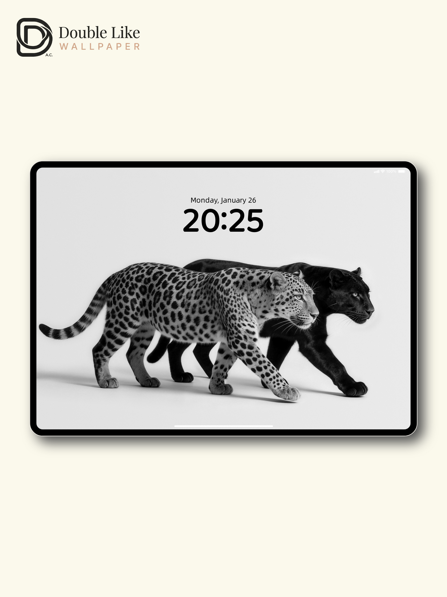 Black & White Two Leopards Minimalist Wild Motivational Wallpaper Pack [#LFHL30424]