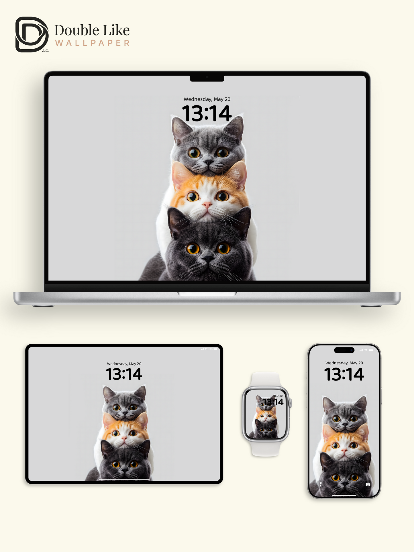 Stacked Kitties Therapy Pack | Cute Triple Cat Dynamic Wallpaper Bundle [#ZMY063]