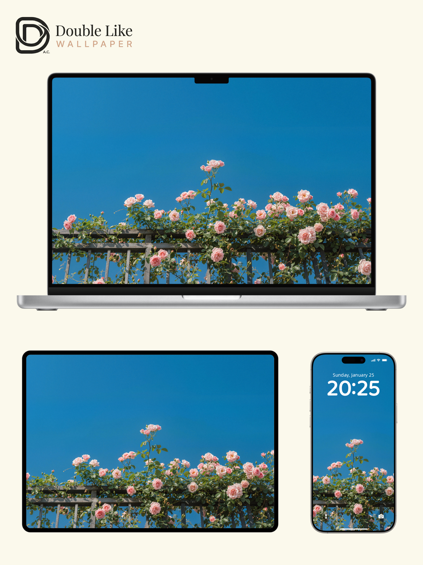 Pink Rose Fence Aesthetic Sky Wallpaper Pack for All Devices [#LFHL30607]