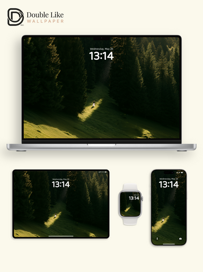 Sunlit Forest Meadow Solitude Aesthetic Wallpaper Pack [#JJ1401]