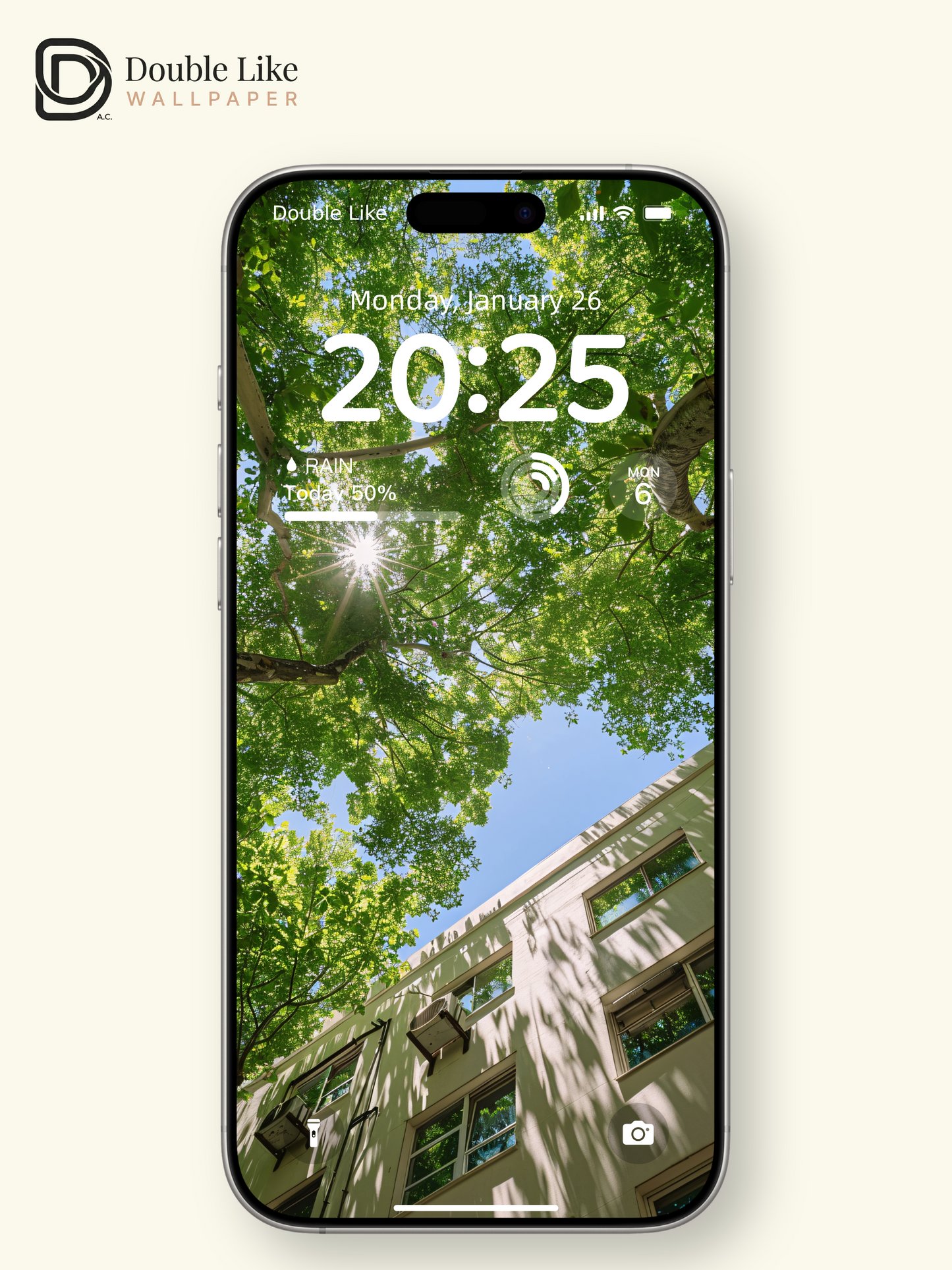 Sunlight Through Trees Summer Fresh Nature Landscape Wallpaper Pack [#JJ1342]