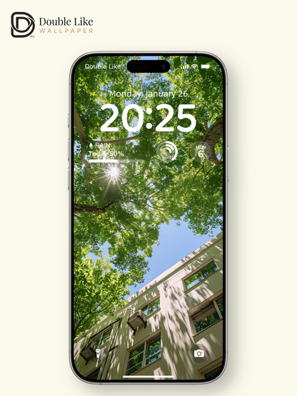 Sunlight Through Trees Summer Fresh Nature Landscape Wallpaper Pack [#JJ1342]