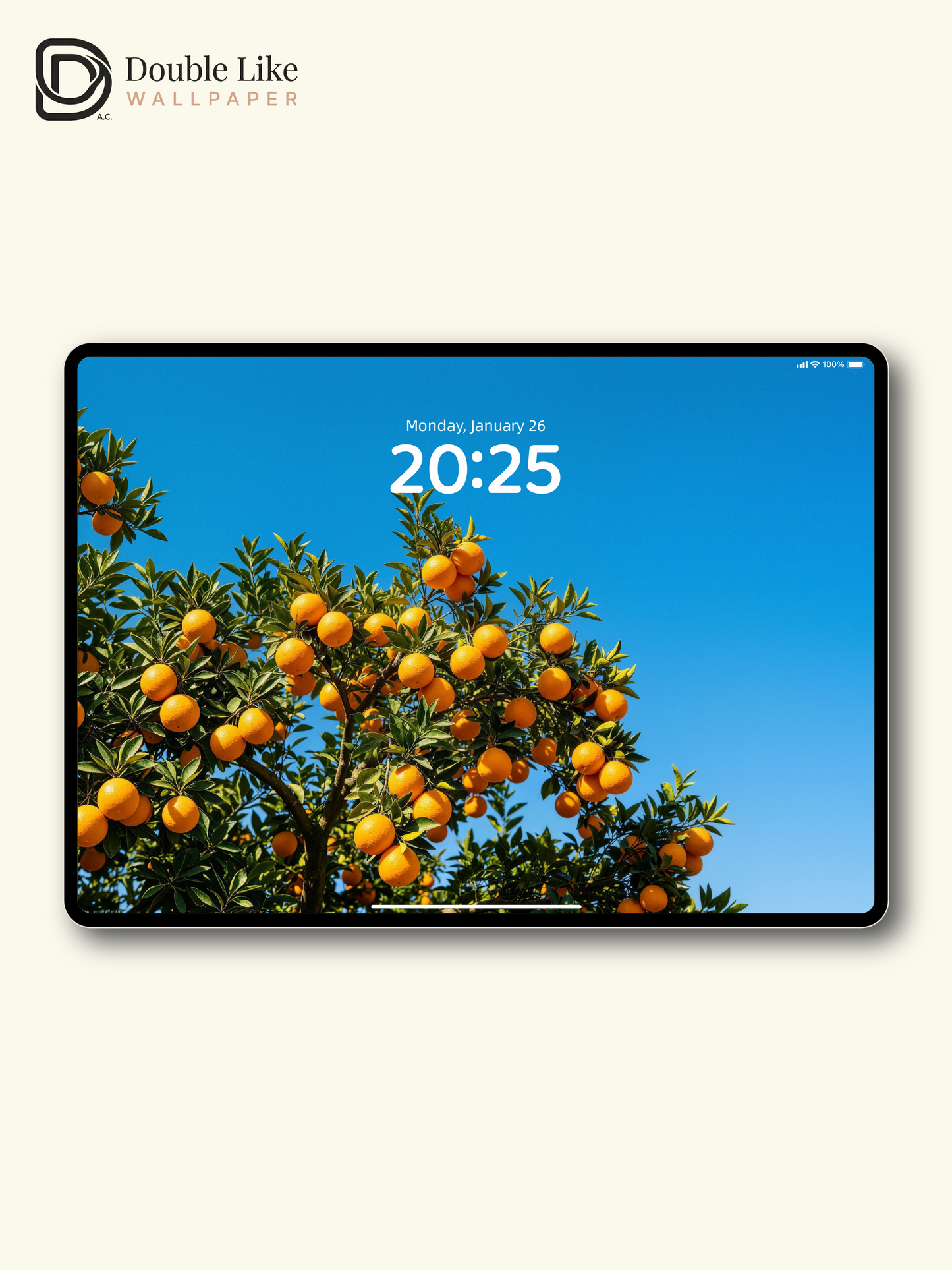 Vibrant Orange Tree Under Blue Sky Nature Aesthetic Wallpaper Pack [#LFHL30622]