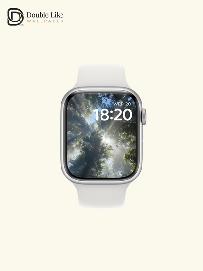 Healing Forest Sunlight Rays Nature Lock Screen Wallpaper Pack [#ZJYX0656]